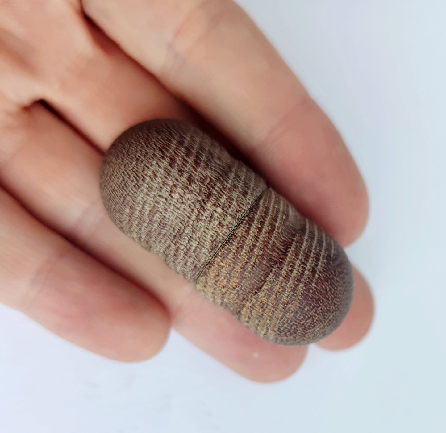 Micarta Popper / EDC Magnetic Haptic Toy
