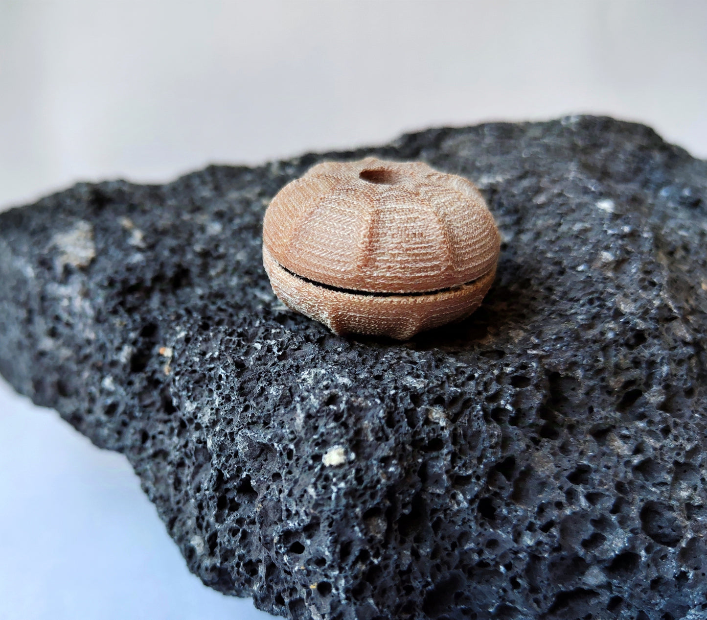 Micarta EDC Urchin Coin